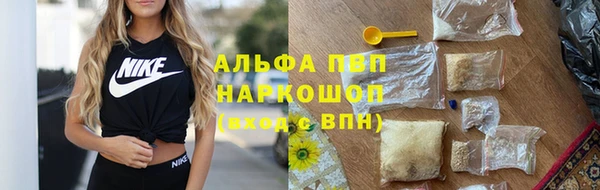 ECSTASY Дмитриев