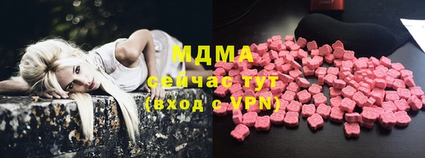 молекула духа Щигры