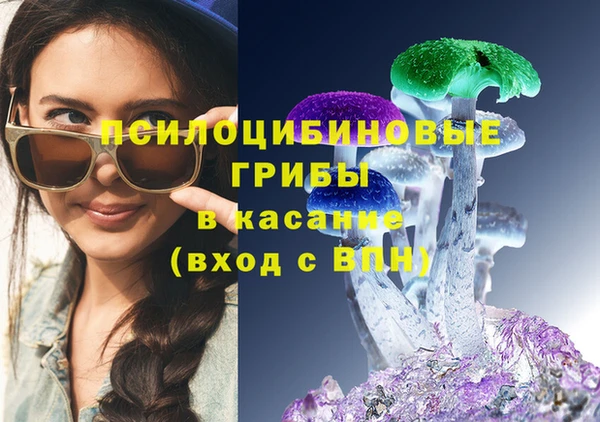 круглые Переславль-Залесский