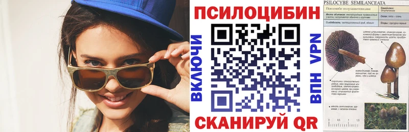 закладки  Пересвет  Галлюциногенные грибы мухоморы 